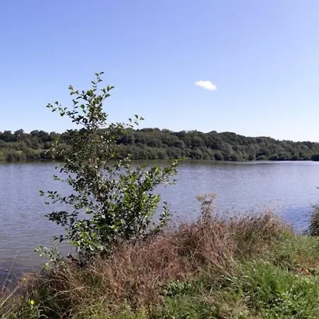 Du Moulin
